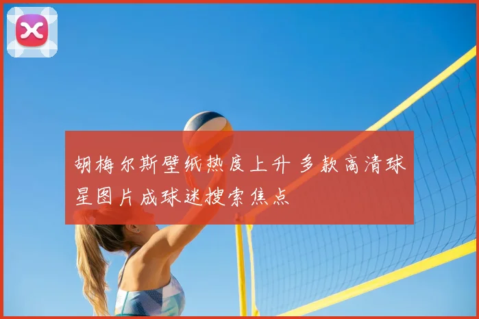 胡梅尔斯壁纸热度上升 多款高清球星图片成球迷搜索焦点