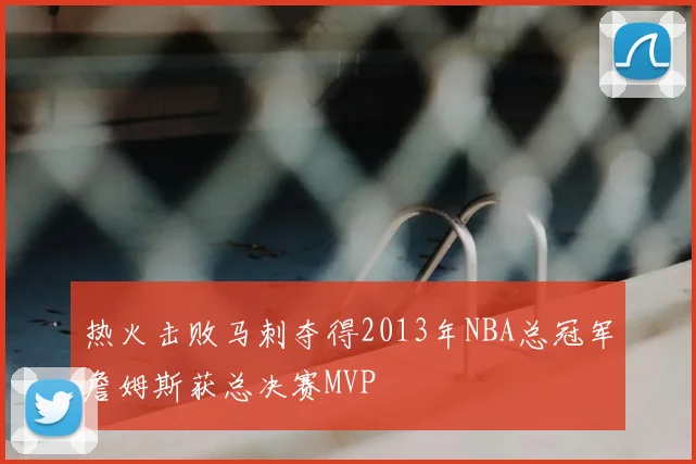 热火击败马刺夺得2013年NBA总冠军詹姆斯获总决赛MVP
