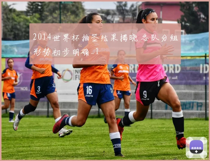 2014世界杯抽签结果揭晓 各队分组形势初步明确_1