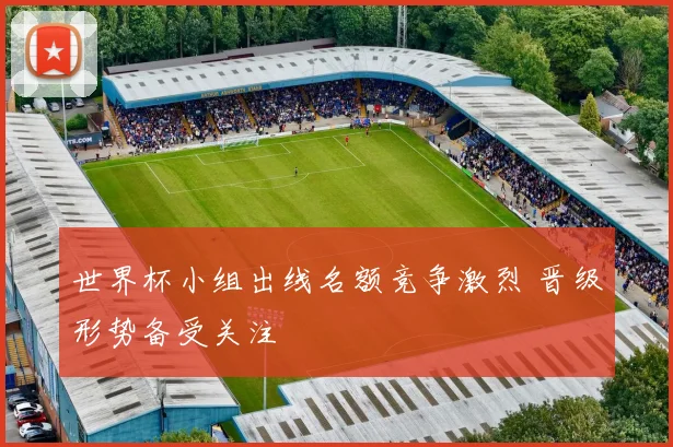 世界杯小组出线名额竞争激烈 晋级形势备受关注