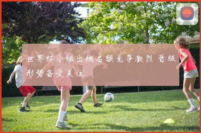 世界杯小组出线名额竞争激烈 晋级形势备受关注