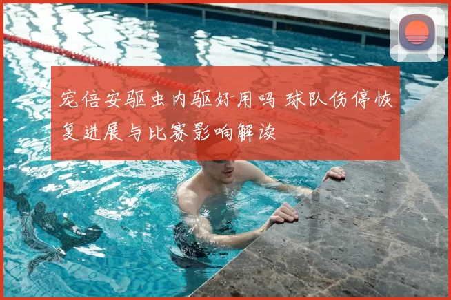 宠倍安驱虫内驱好用吗 球队伤停恢复进展与比赛影响解读