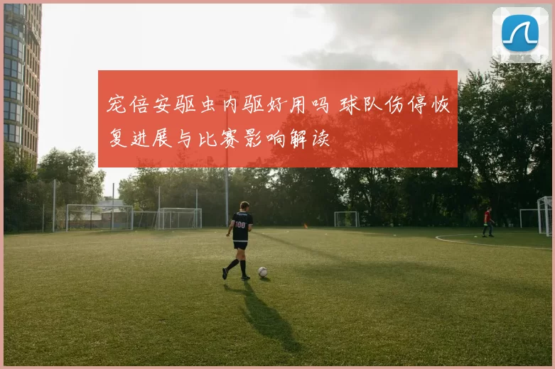 宠倍安驱虫内驱好用吗 球队伤停恢复进展与比赛影响解读