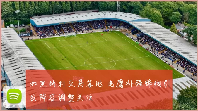 加里纳利交易落地 老鹰补强锋线引发阵容调整关注