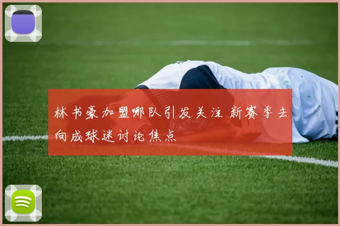 林书豪加盟哪队引发关注 新赛季去向成球迷讨论焦点